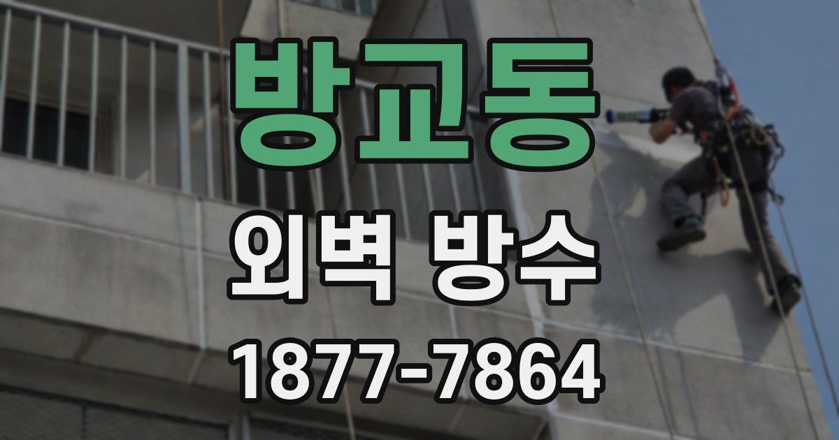 방교동 외벽 방수