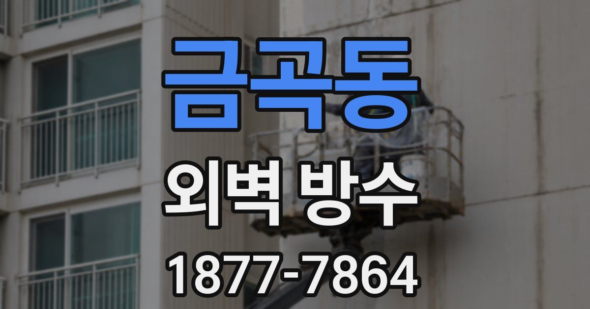 금곡동 외벽 방수