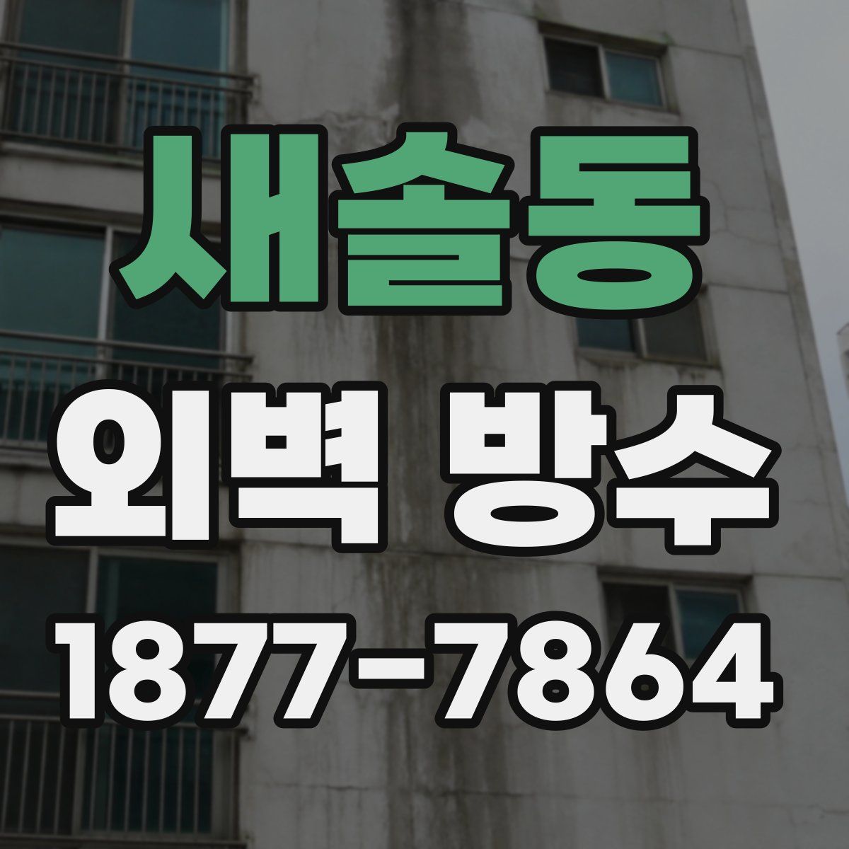 새솔동 외벽 방수