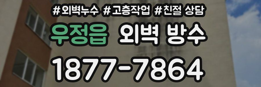 우정읍 외벽 방수
