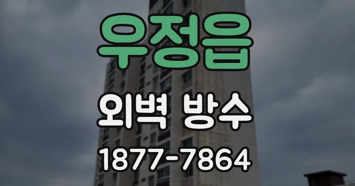 우정읍 외벽 방수