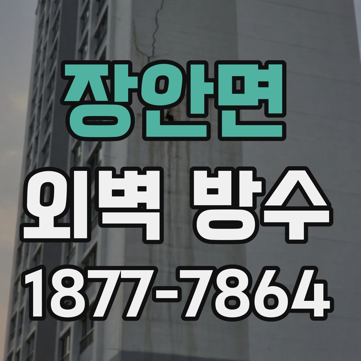 장안면 외벽 방수