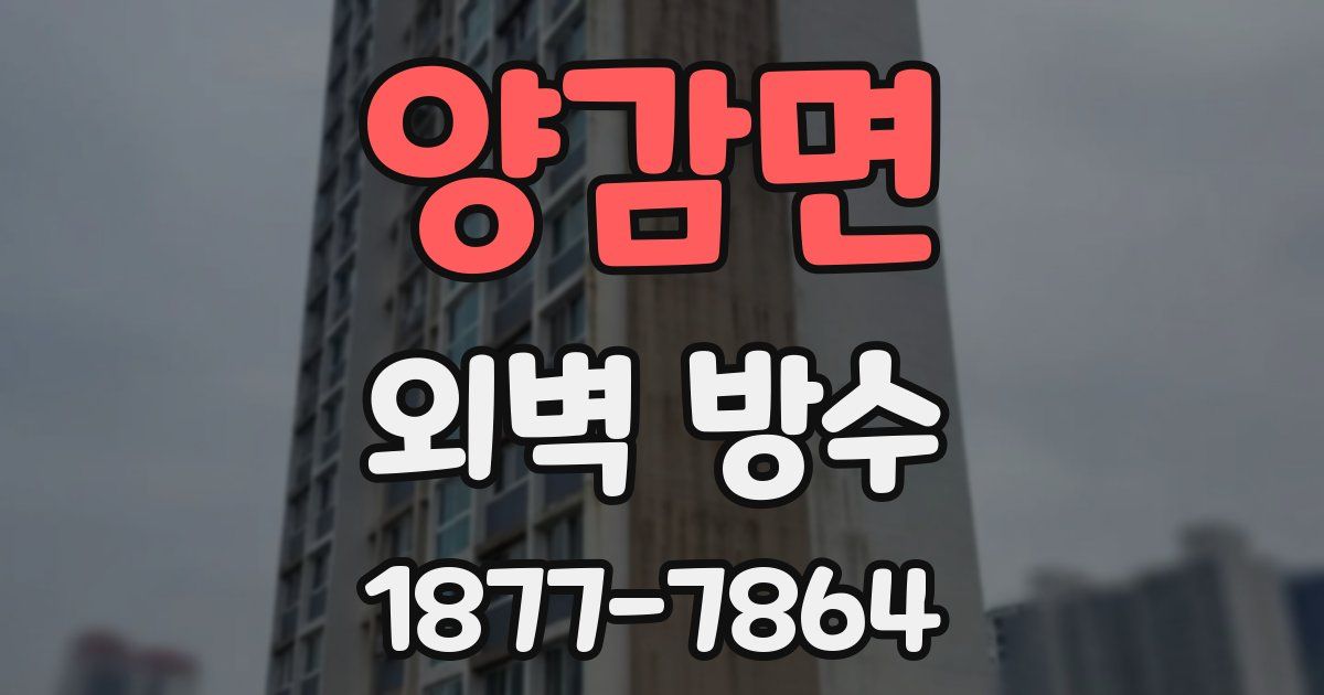 양감면 외벽 방수