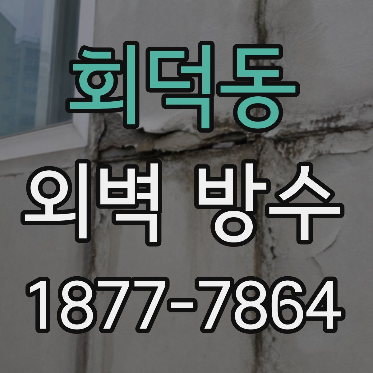 회덕동 외벽 방수