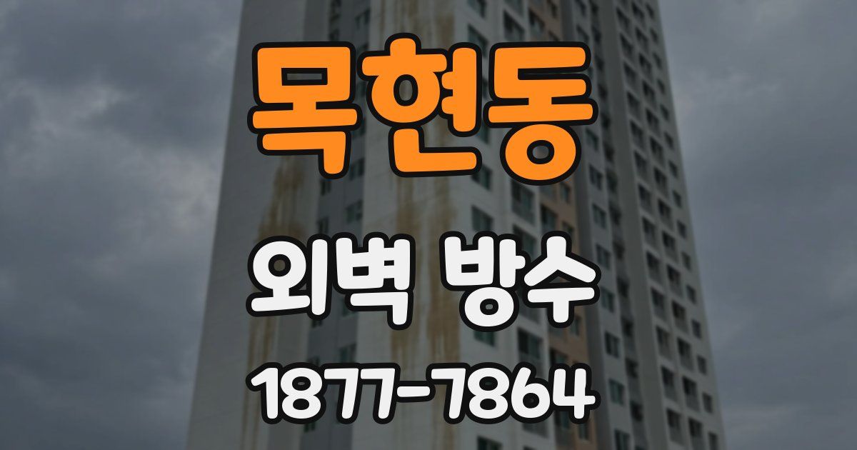 목현동 외벽 방수