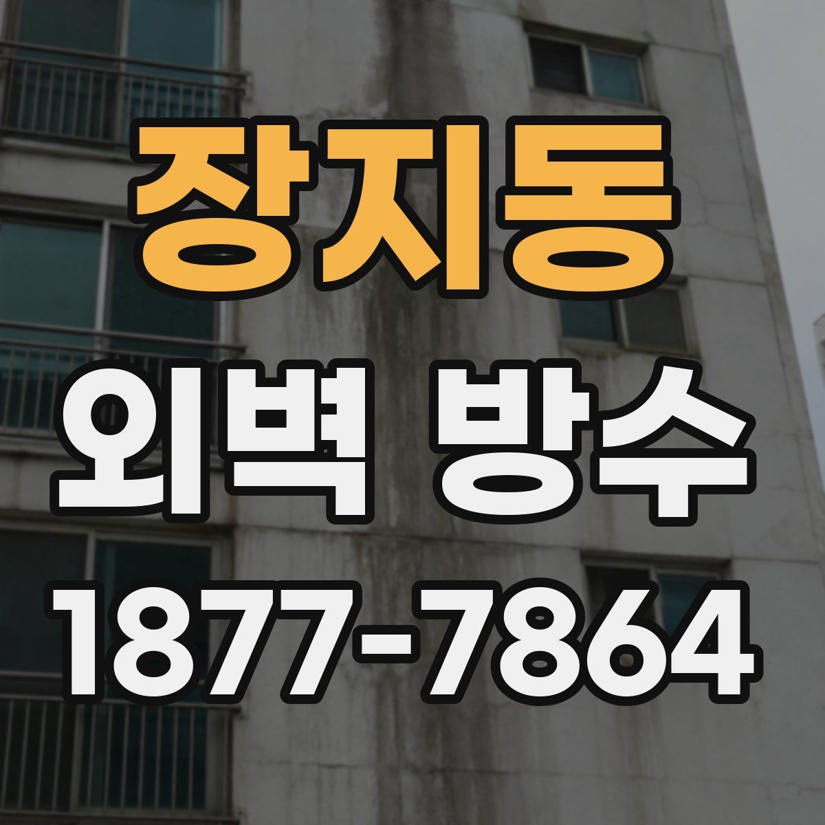 장지동 외벽 방수