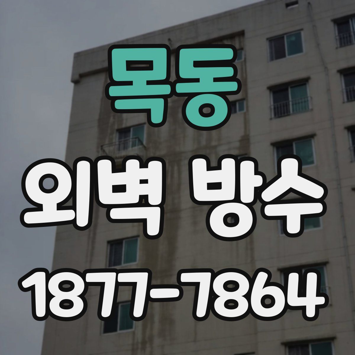 목동 외벽 방수