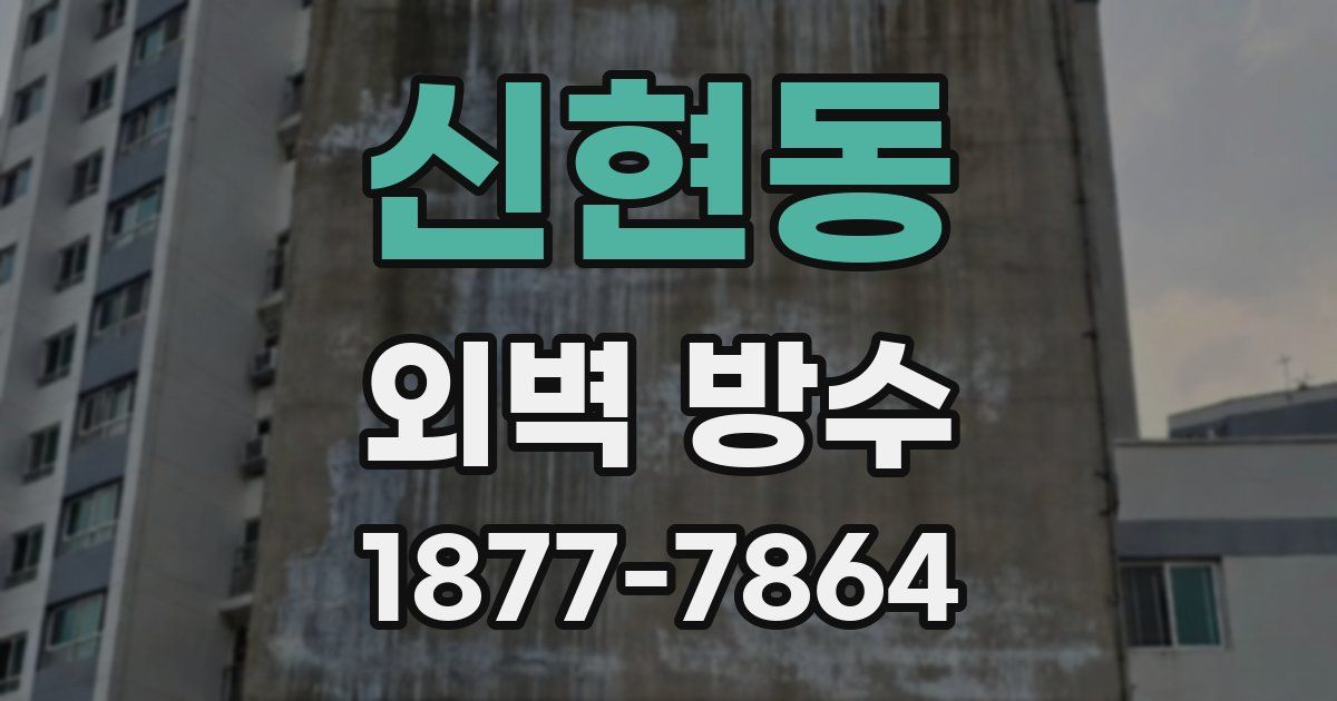 신현동 외벽 방수