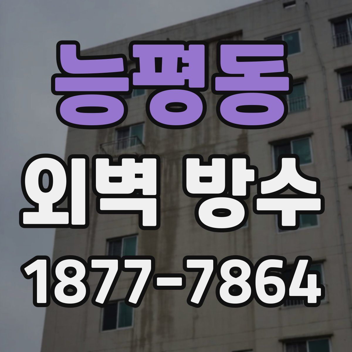 능평동 외벽 방수