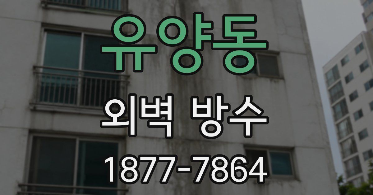 유양동 외벽 방수