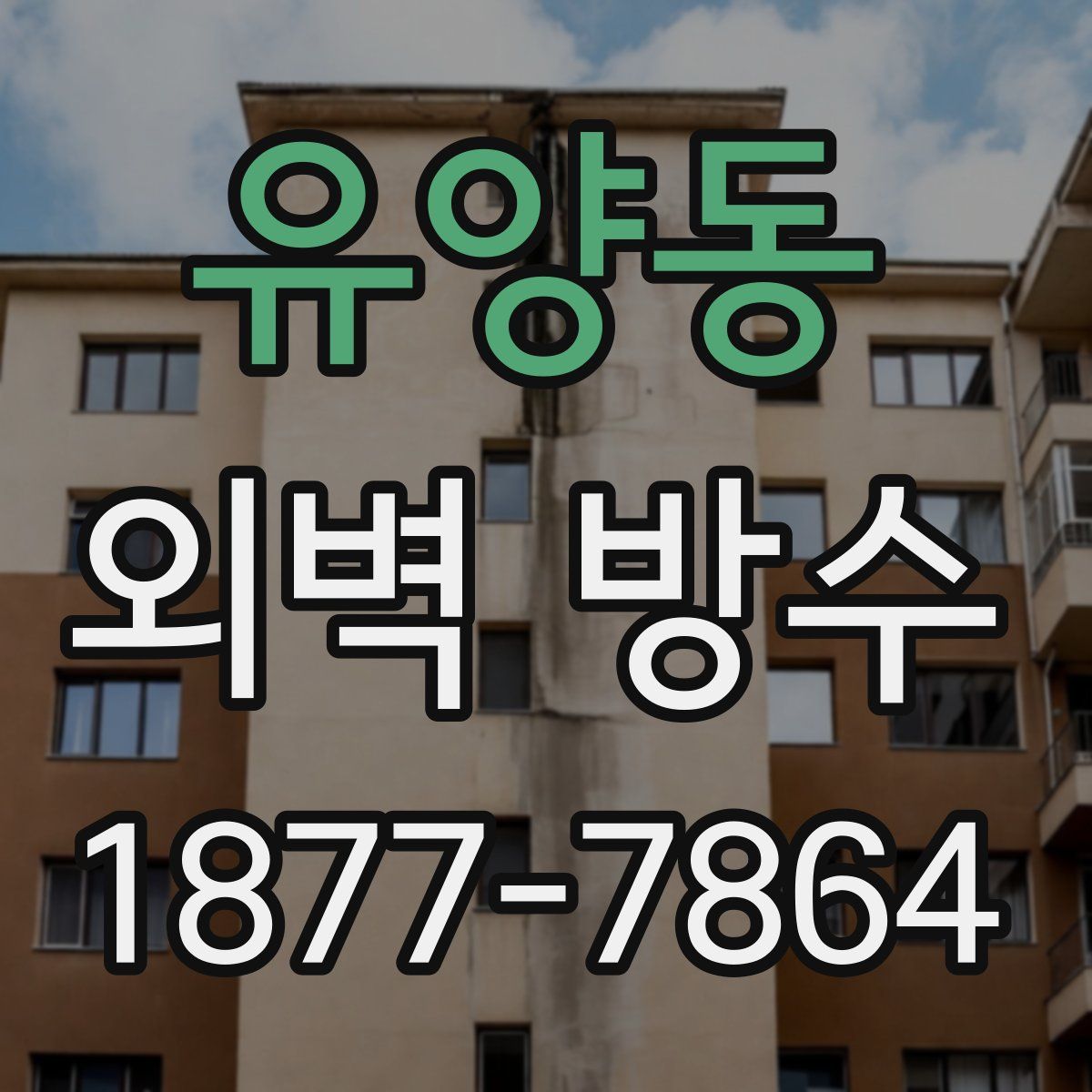 유양동 외벽 방수