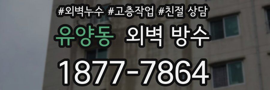 유양동 외벽 방수