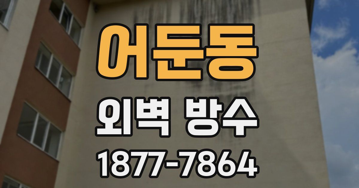 어둔동 외벽 방수