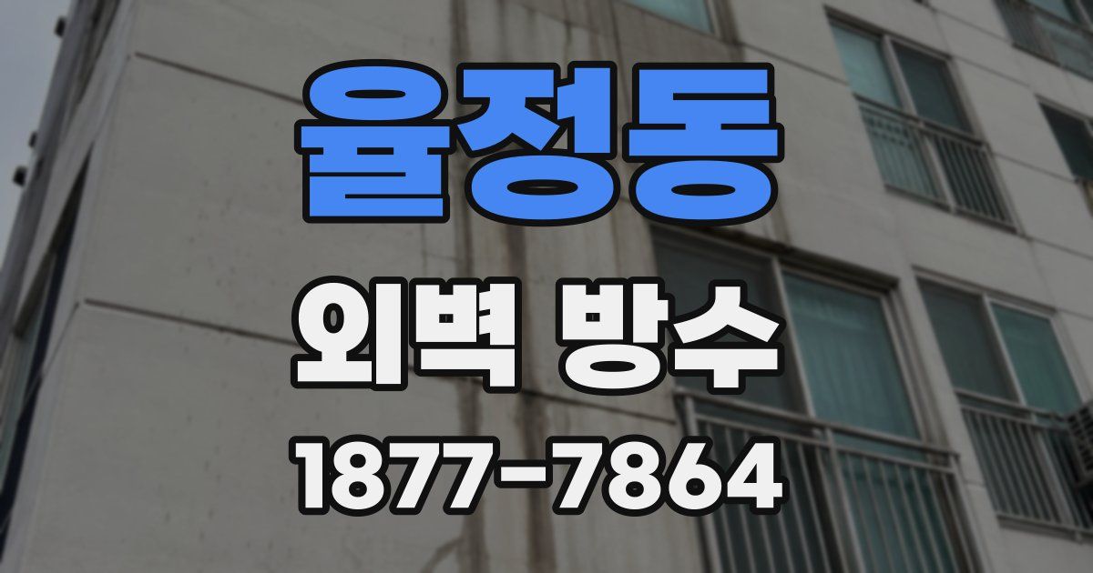 율정동 외벽 방수