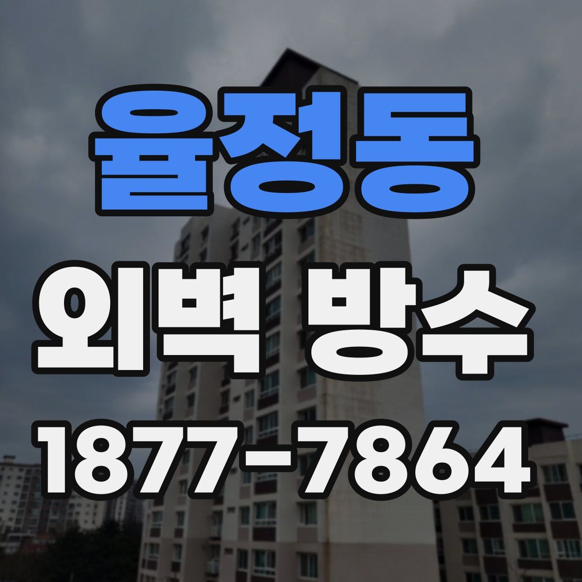 율정동 외벽 방수