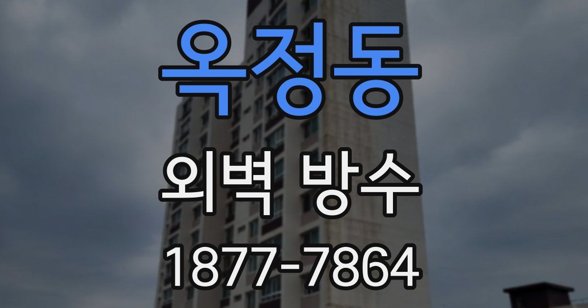 옥정동 외벽 방수