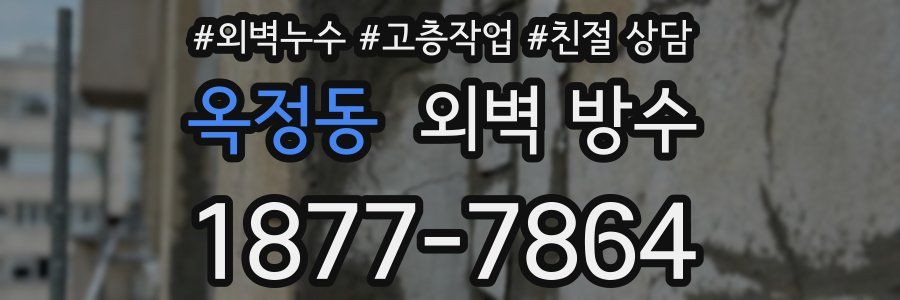 옥정동 외벽 방수