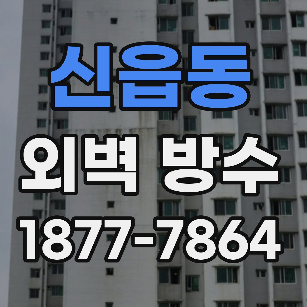 신읍동 외벽 방수