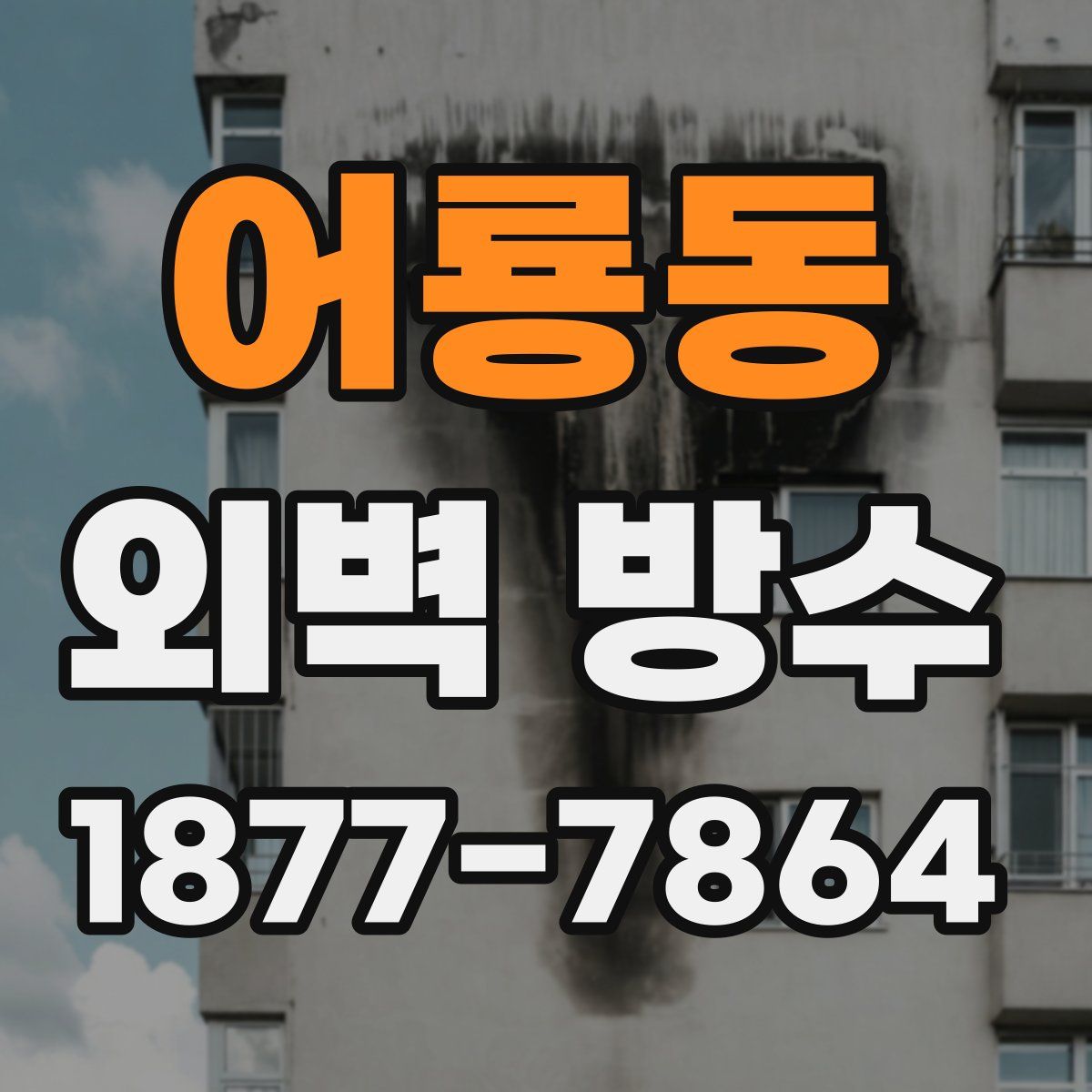 어룡동 외벽 방수