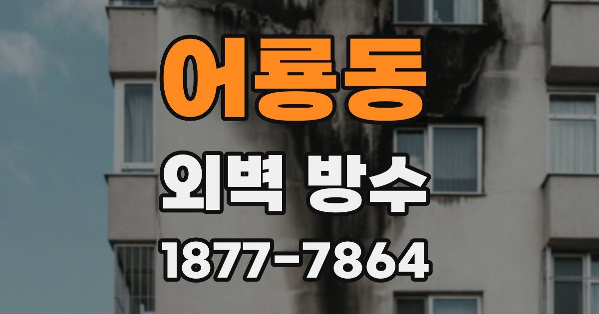 어룡동 외벽 방수