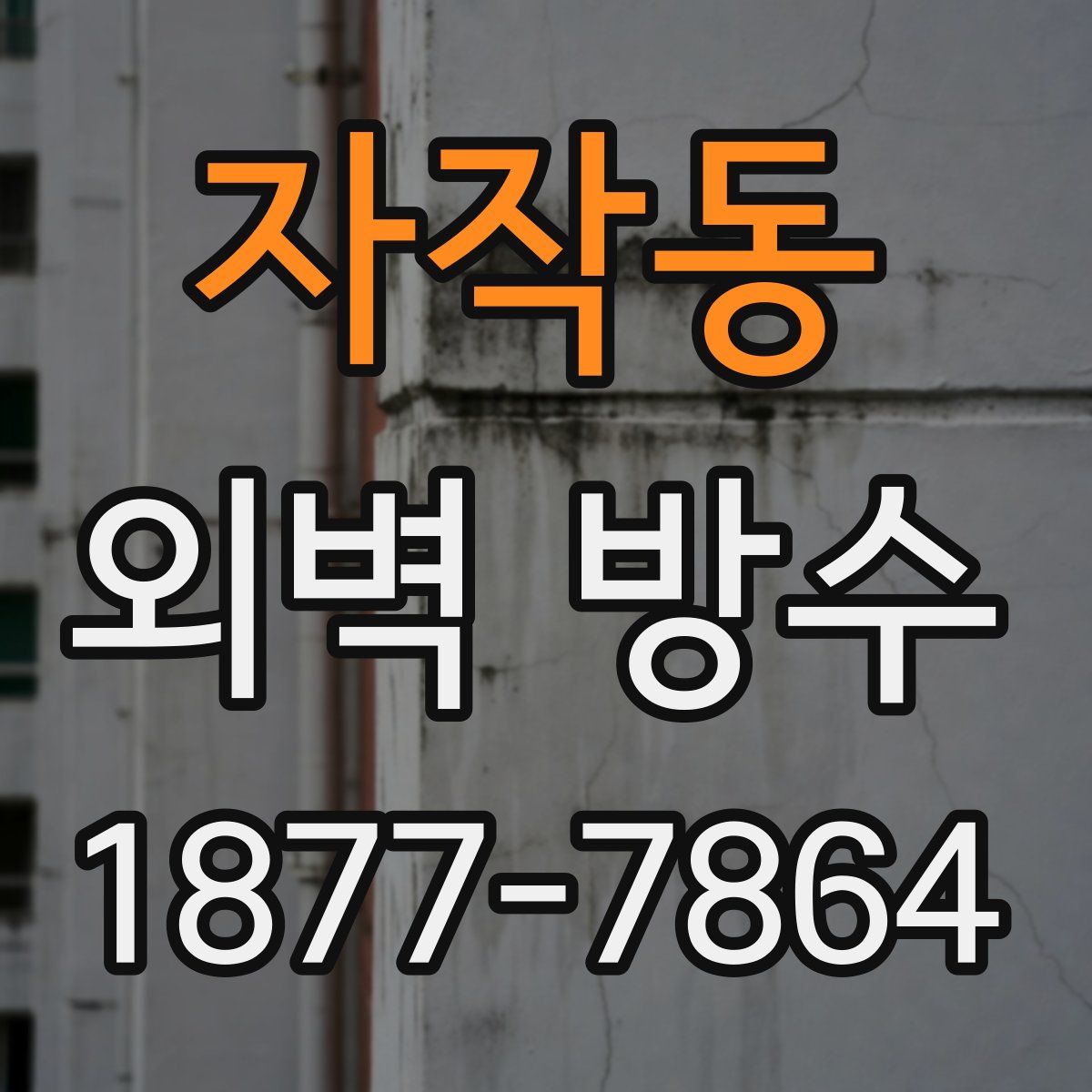 자작동 외벽 방수