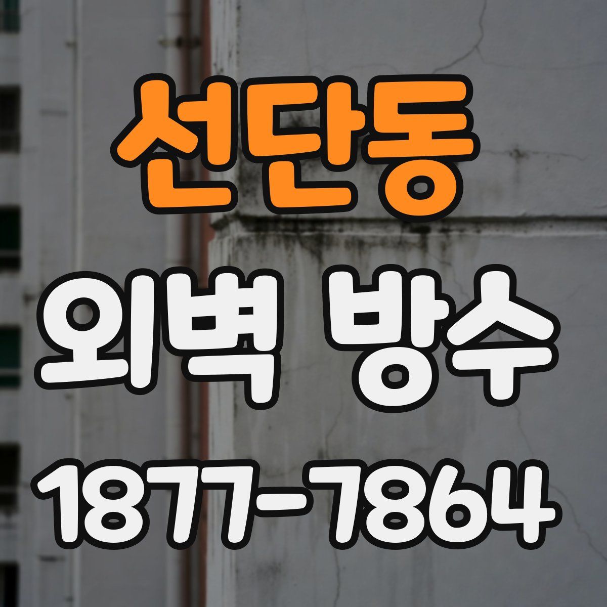 선단동 외벽 방수