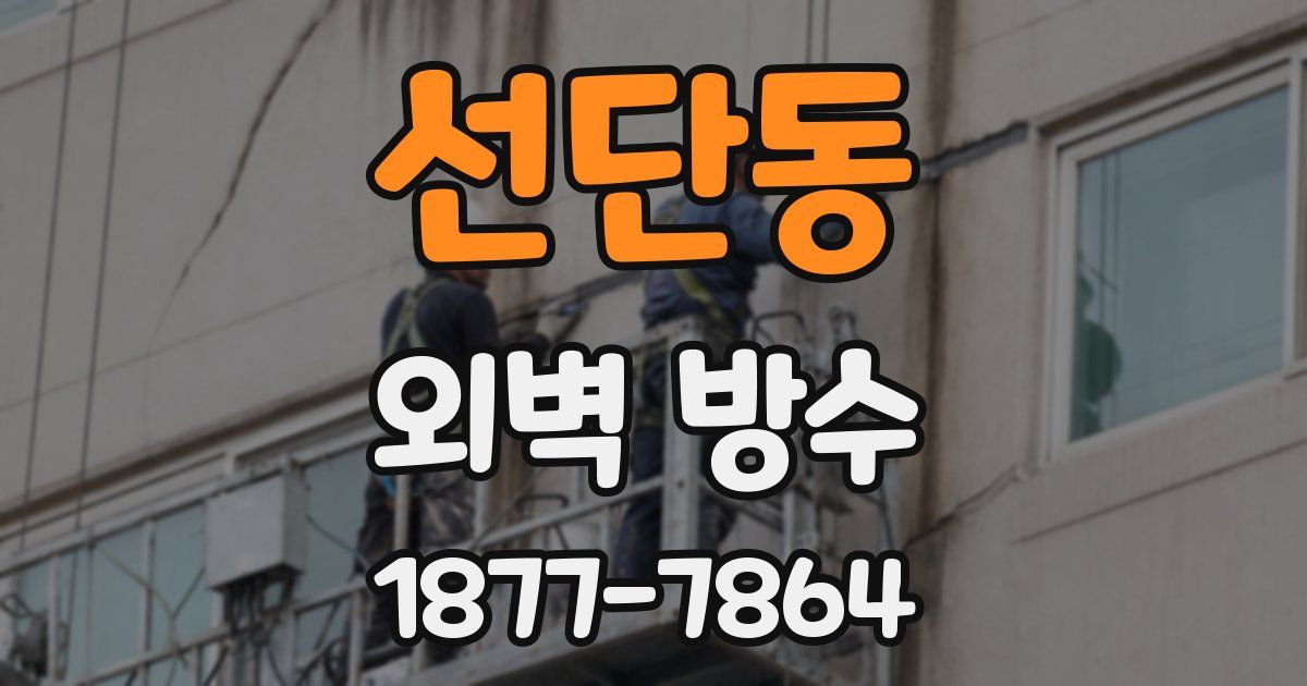 선단동 외벽 방수