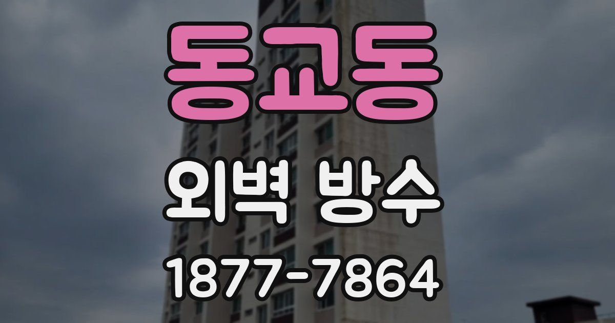 동교동 외벽 방수