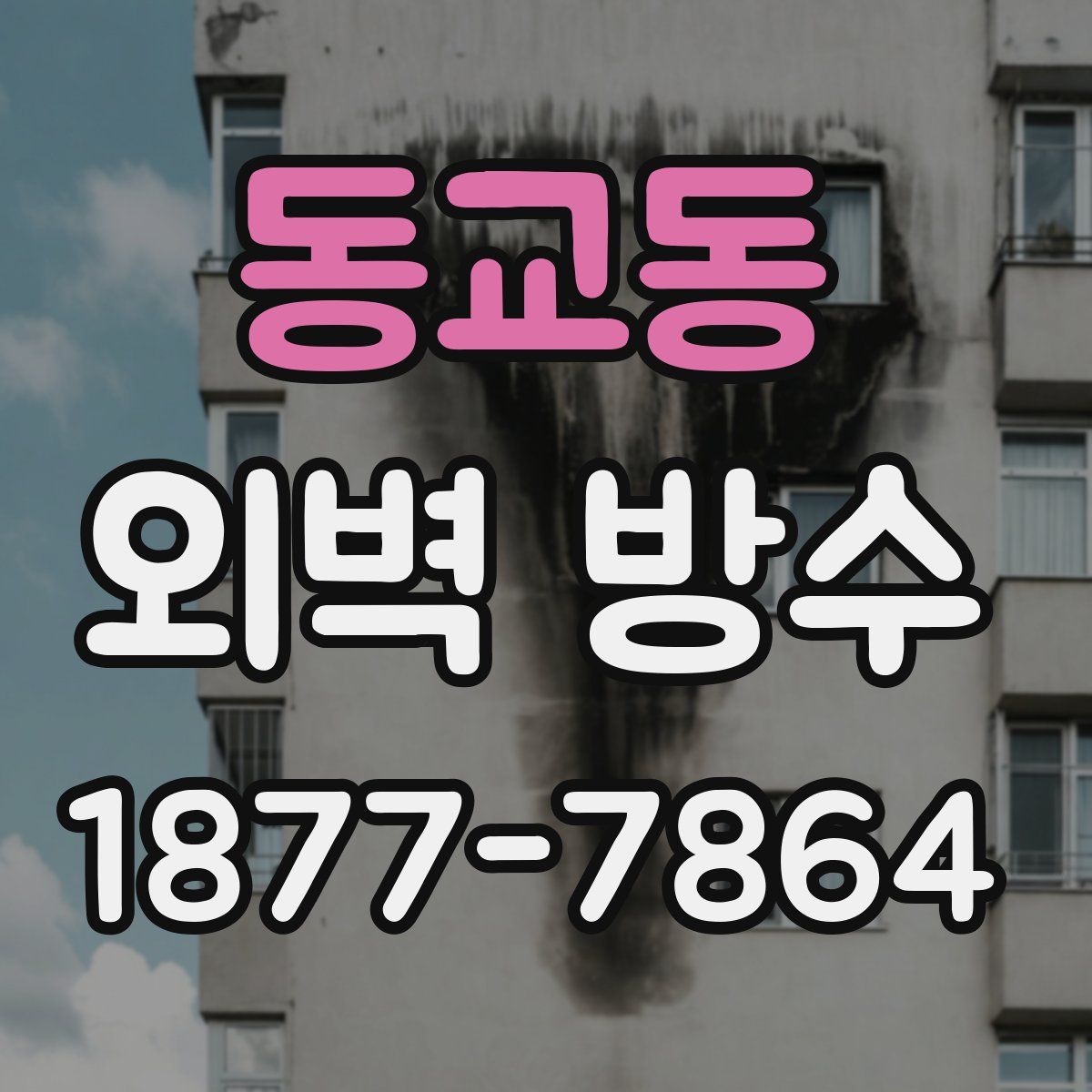 동교동 외벽 방수