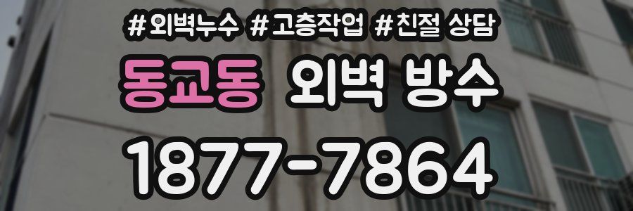 동교동 외벽 방수