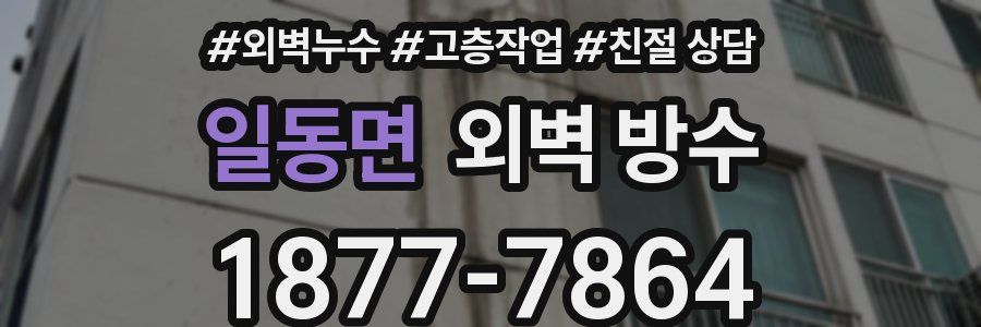 일동면 외벽 방수