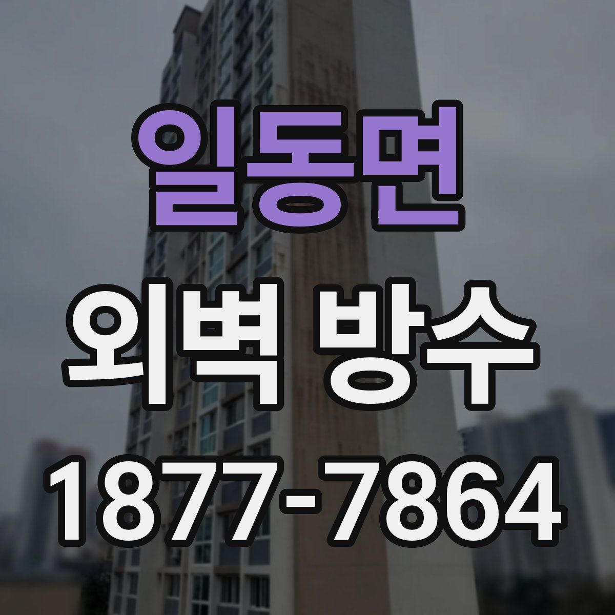 일동면 외벽 방수