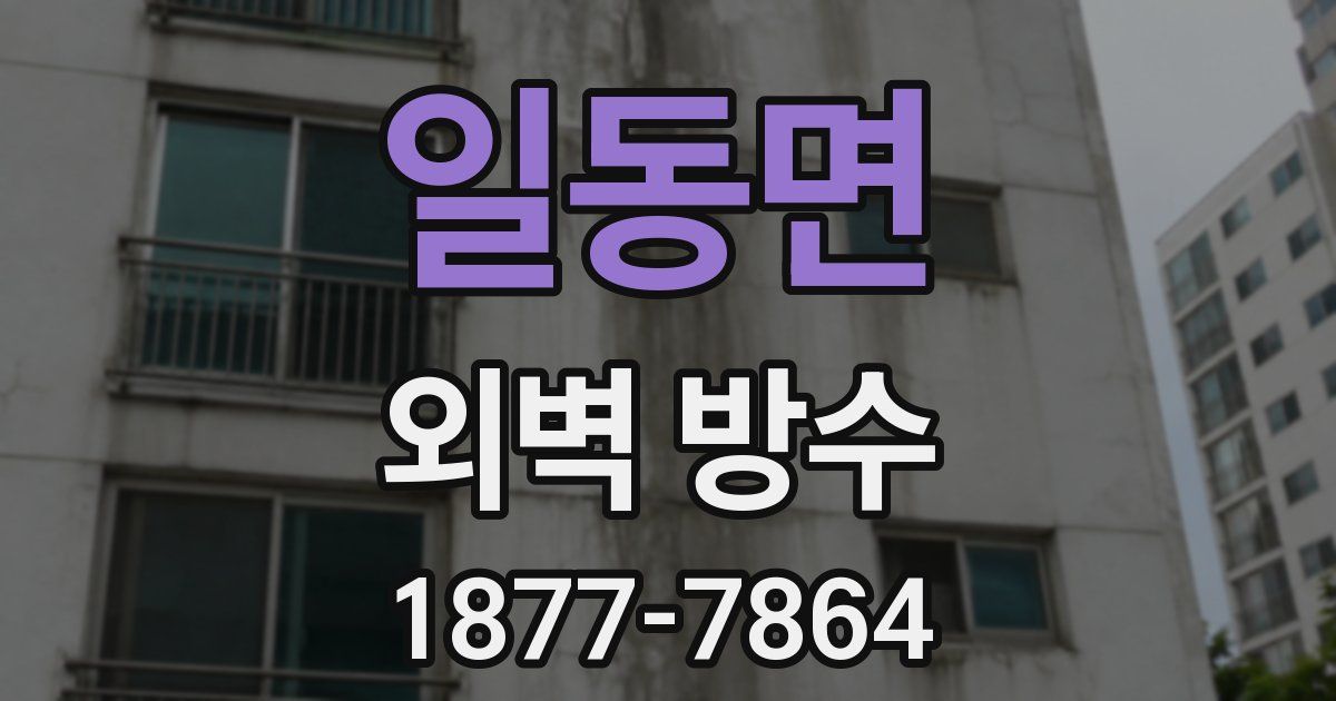 일동면 외벽 방수