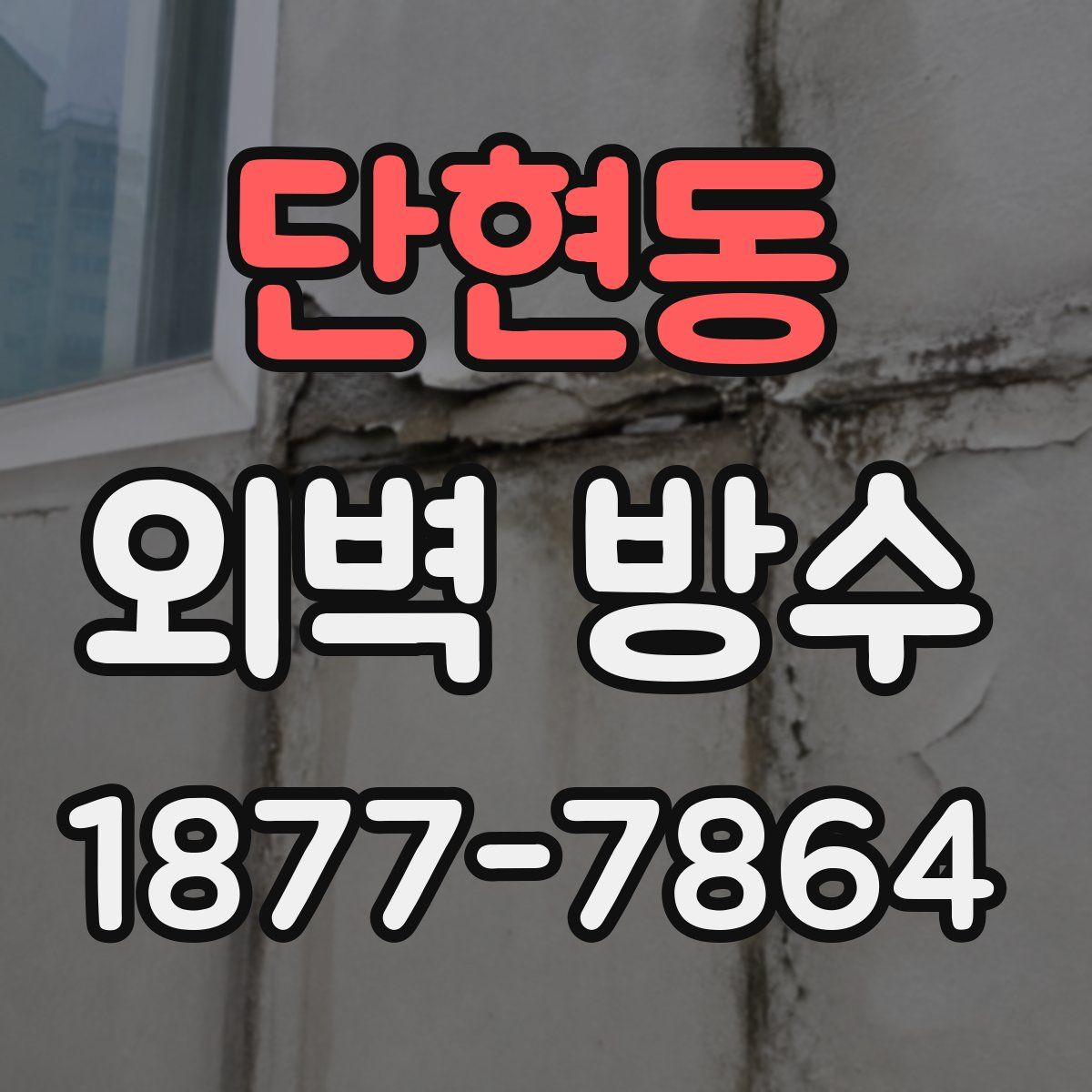 단현동 외벽 방수