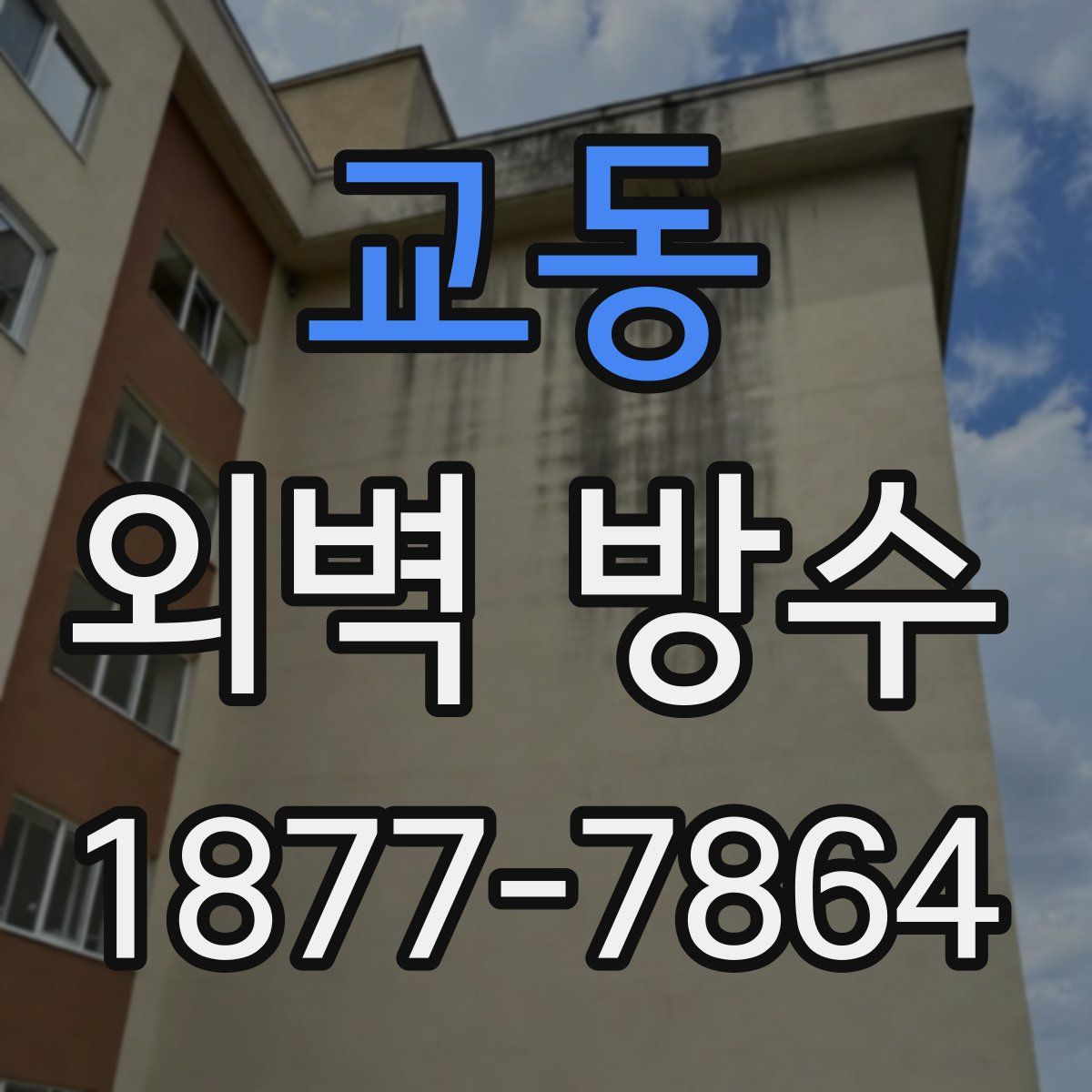 교동 외벽 방수