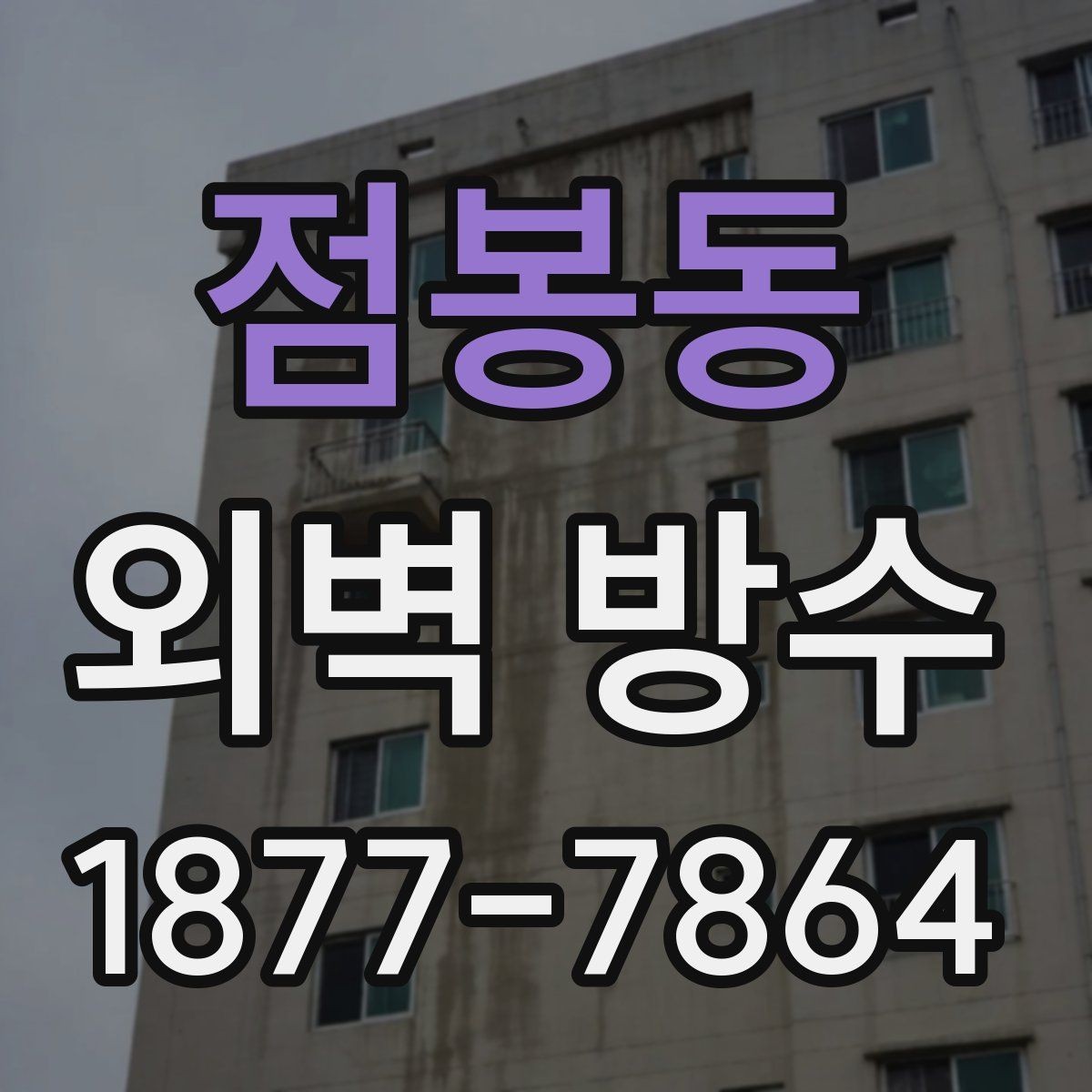 점봉동 외벽 방수 점검은 어디부터 시작해야 할까