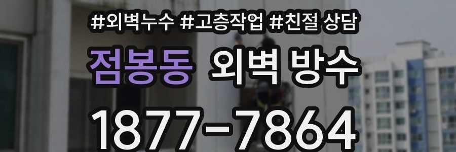 점봉동 외벽 방수