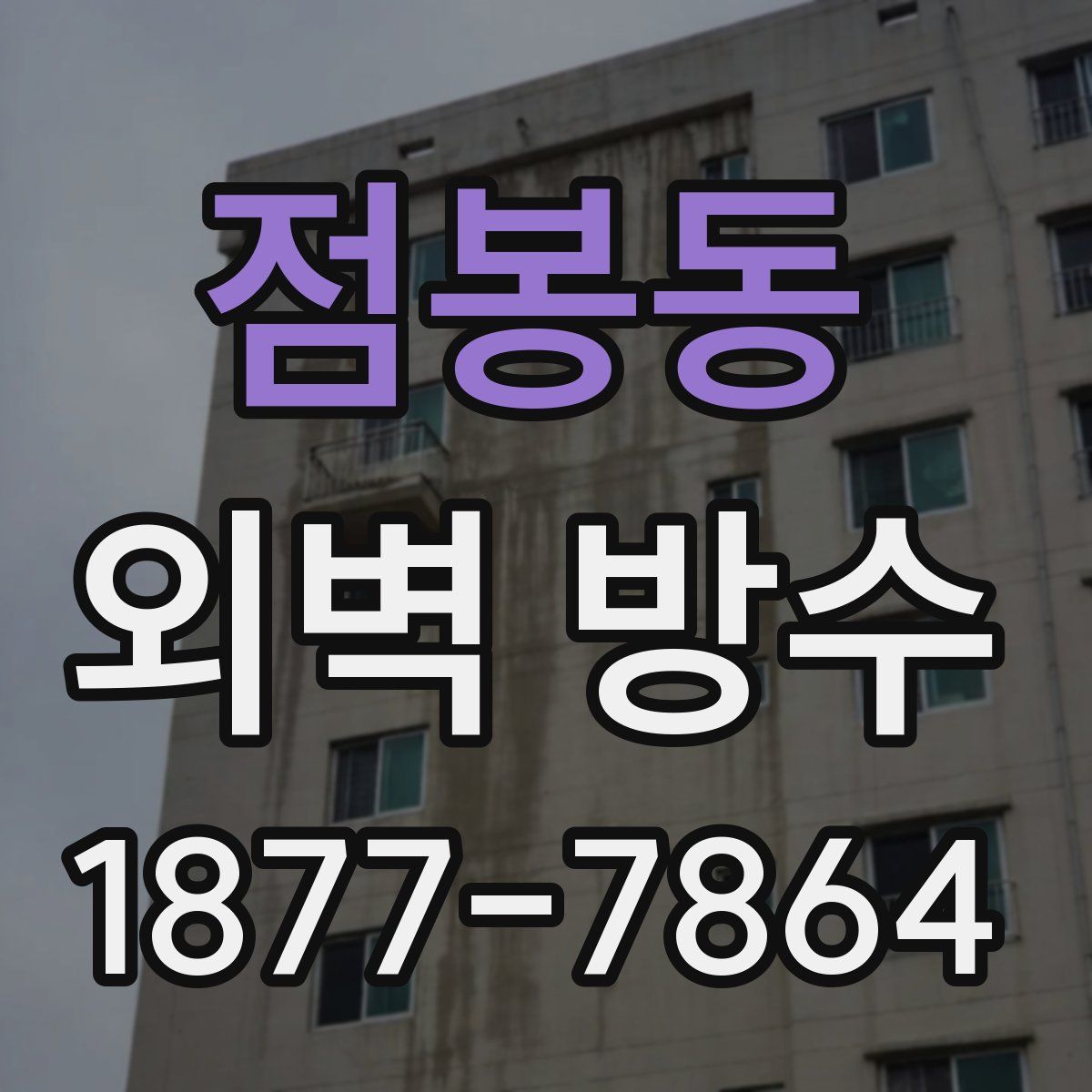 점봉동 외벽 방수