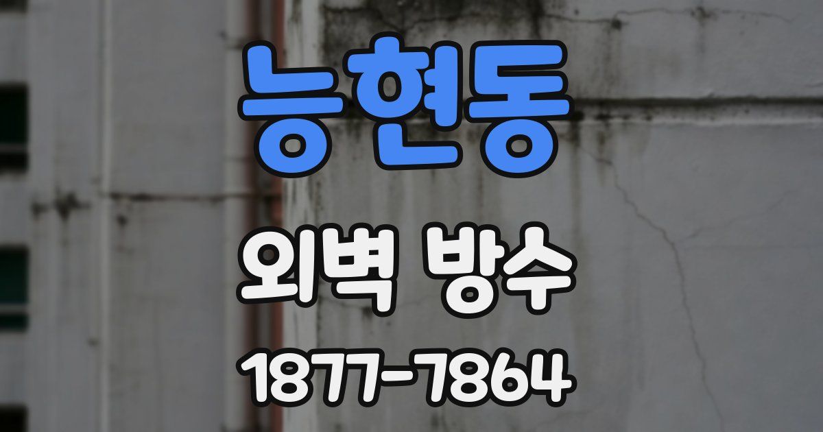 능현동 외벽 방수