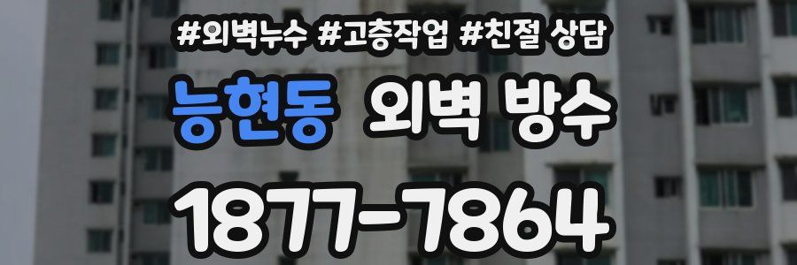 능현동 외벽 방수