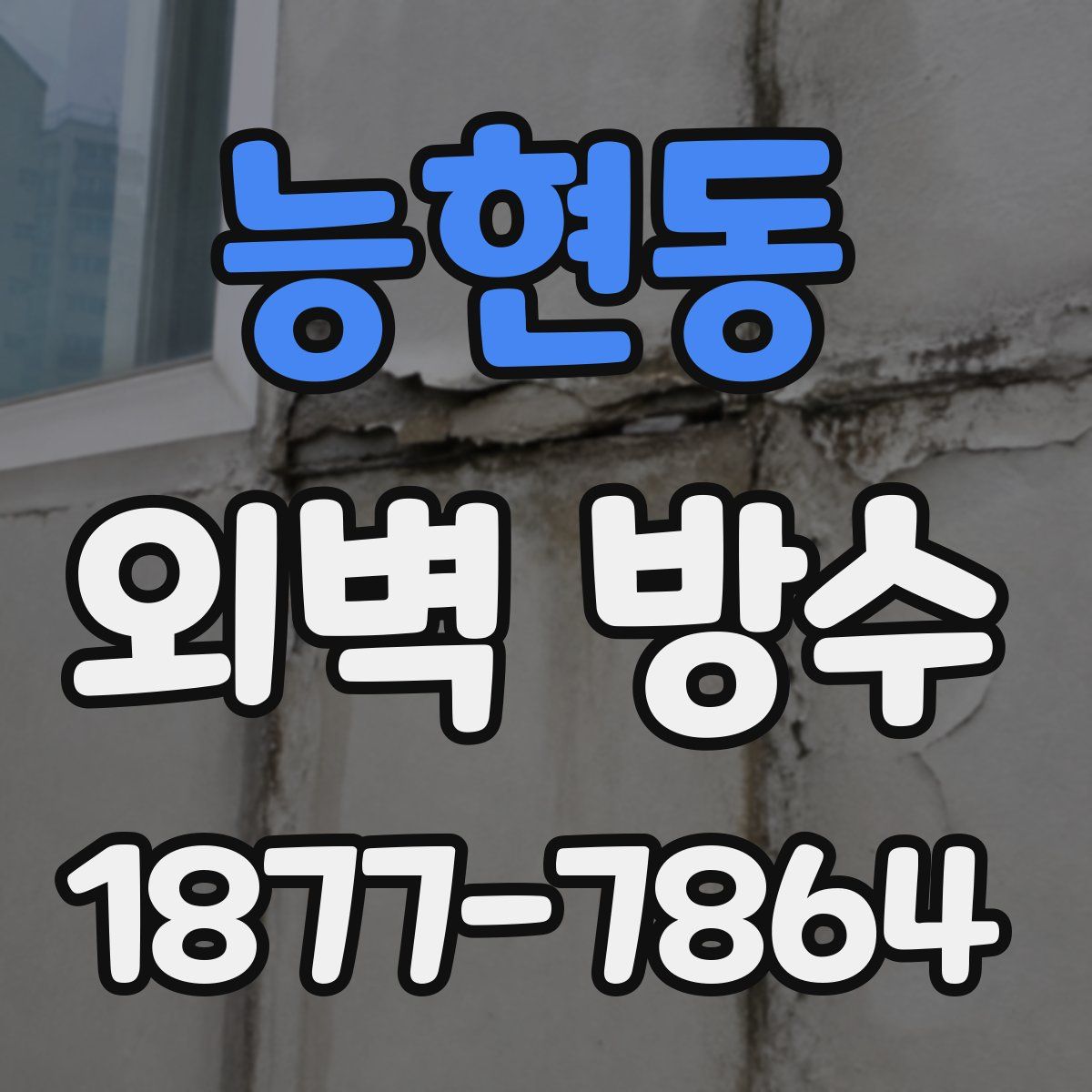 능현동 외벽 방수