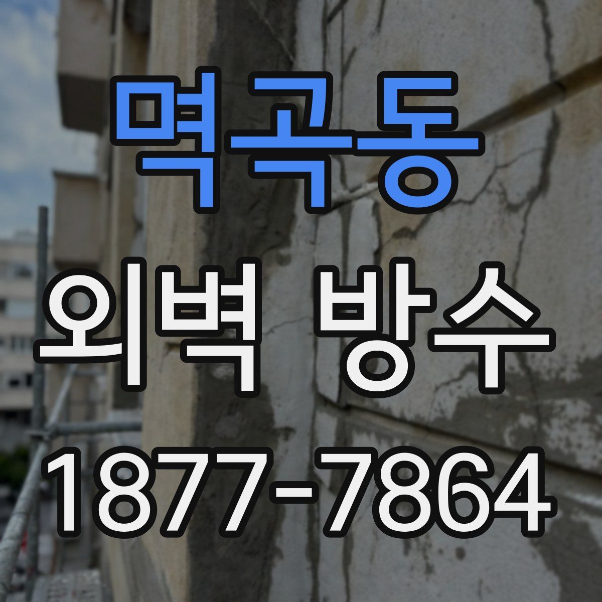 멱곡동 외벽 방수