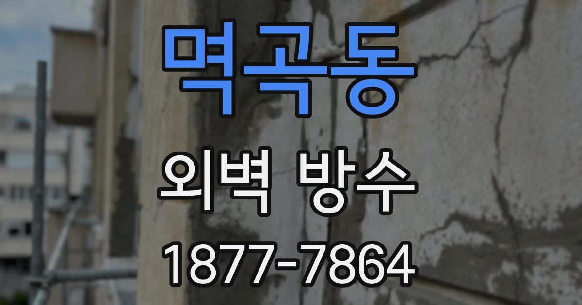 멱곡동 외벽 방수