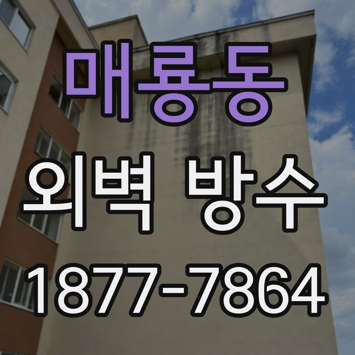 매룡동 외벽 방수