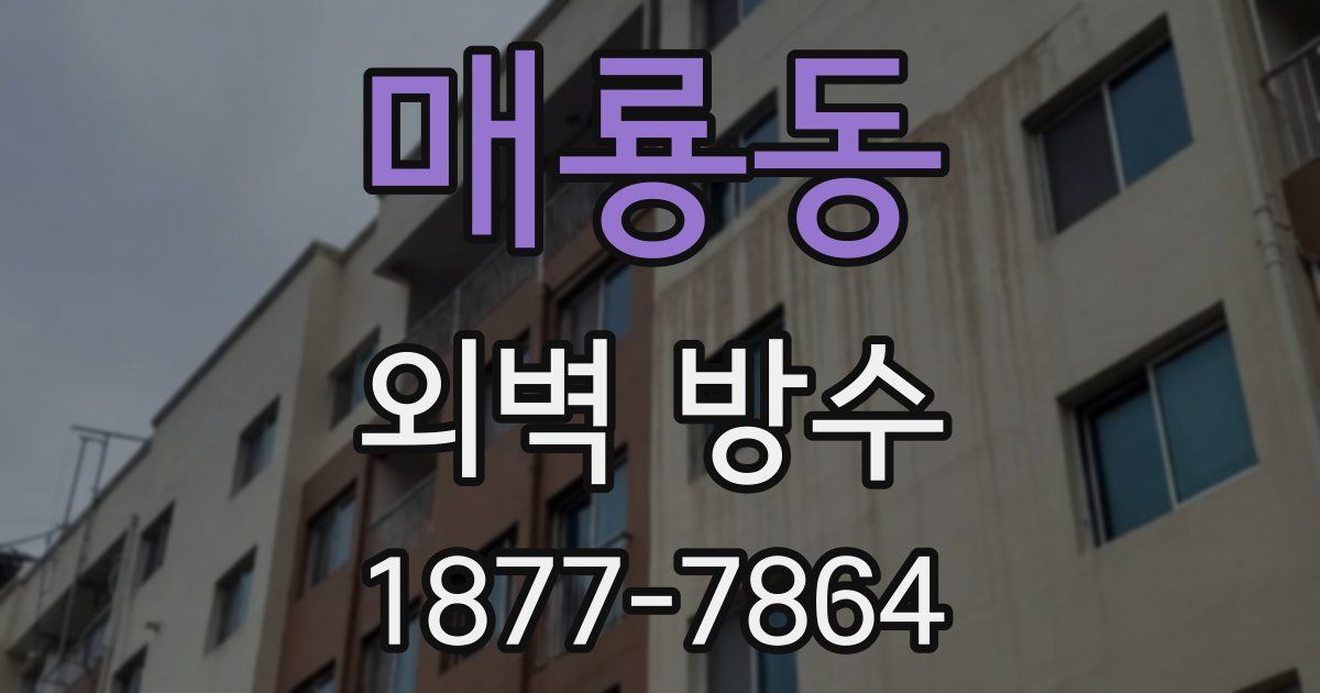 매룡동 외벽 방수