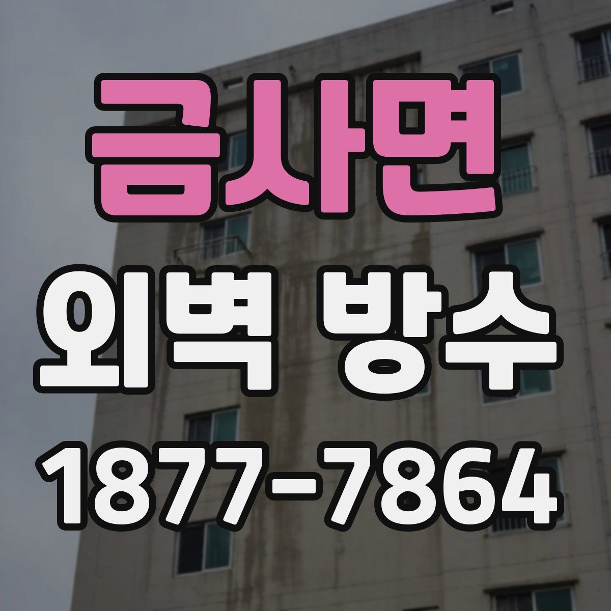 금사면 외벽 방수