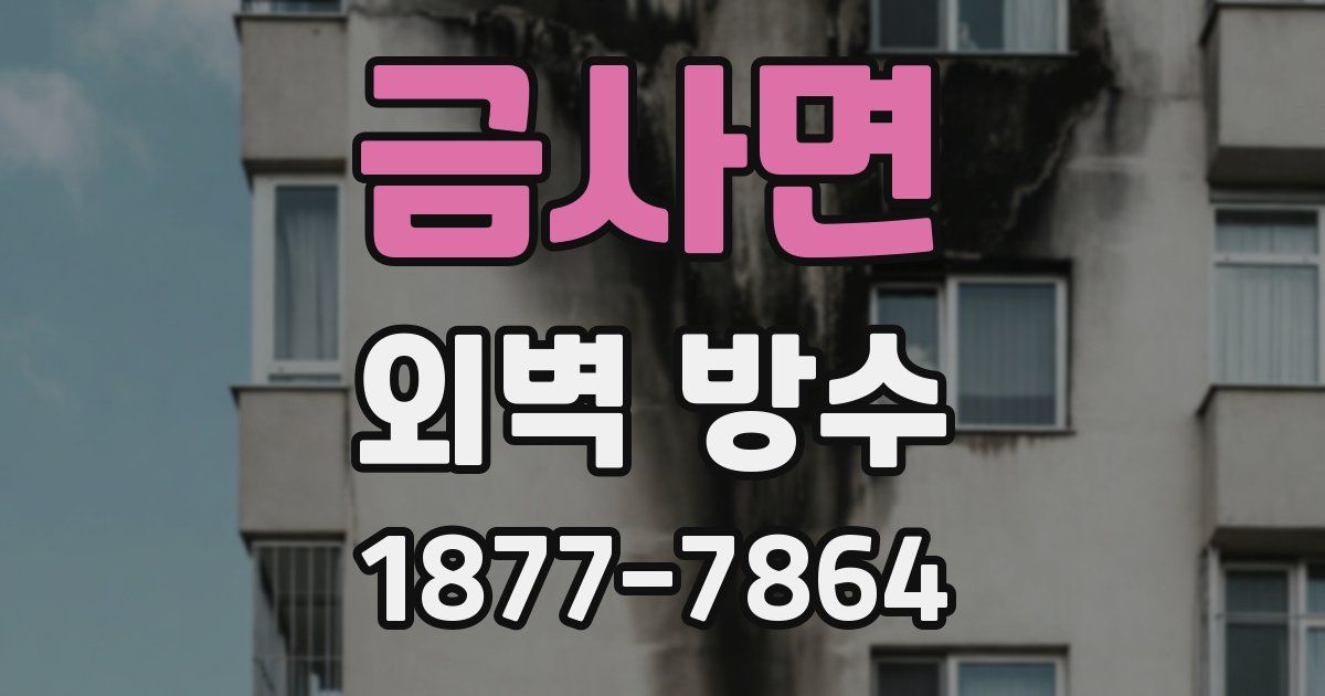 금사면 외벽 방수