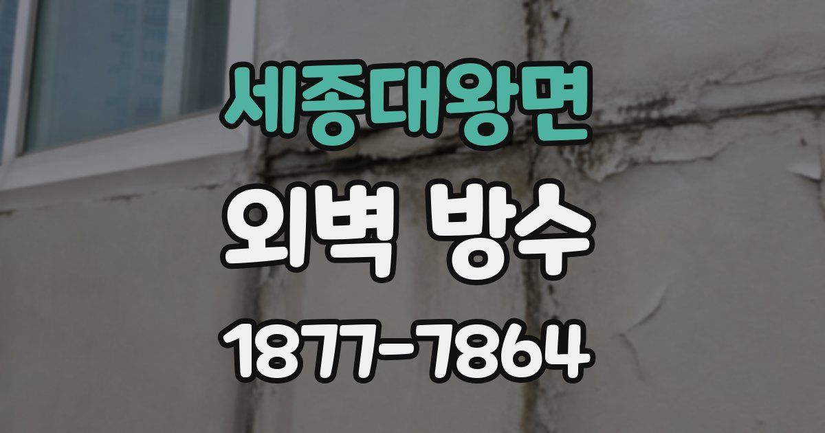 세종대왕면 외벽 방수