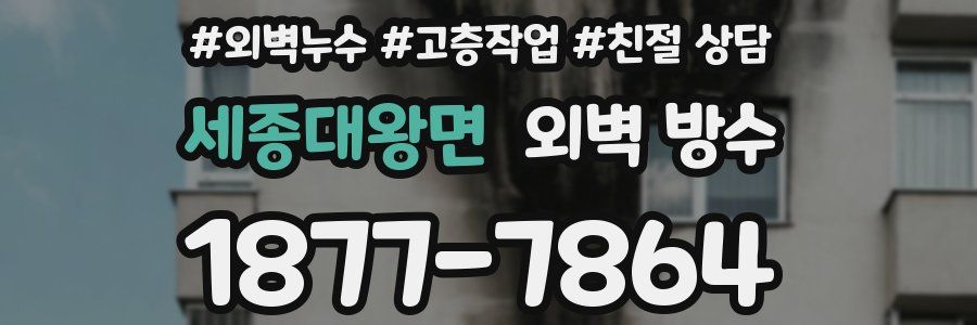 세종대왕면 외벽 방수