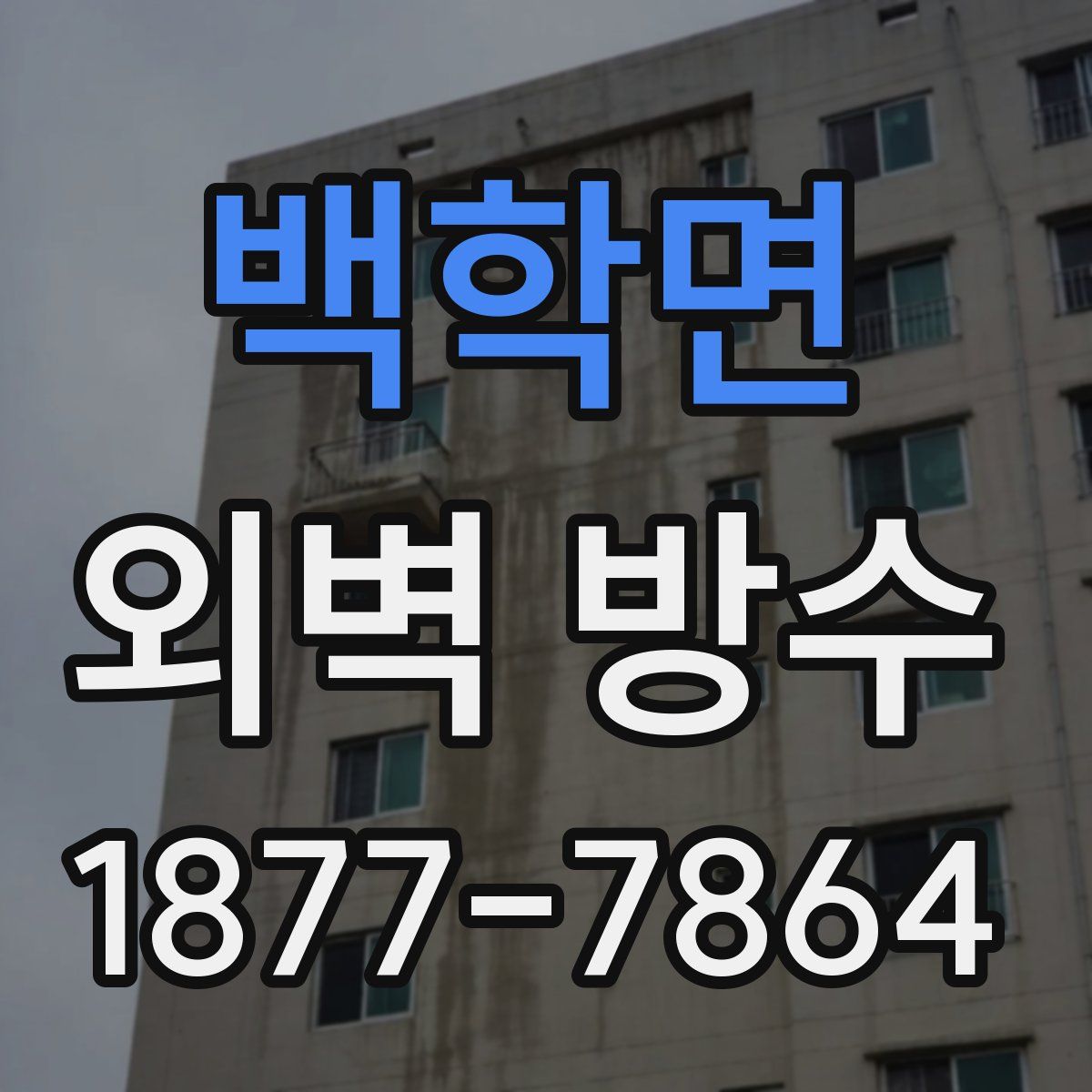 백학면 외벽 방수
